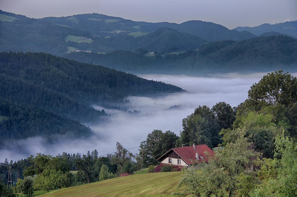 Poljane nad Škofjo Loko Gostilna Pension Blegos מראה חיצוני תמונה